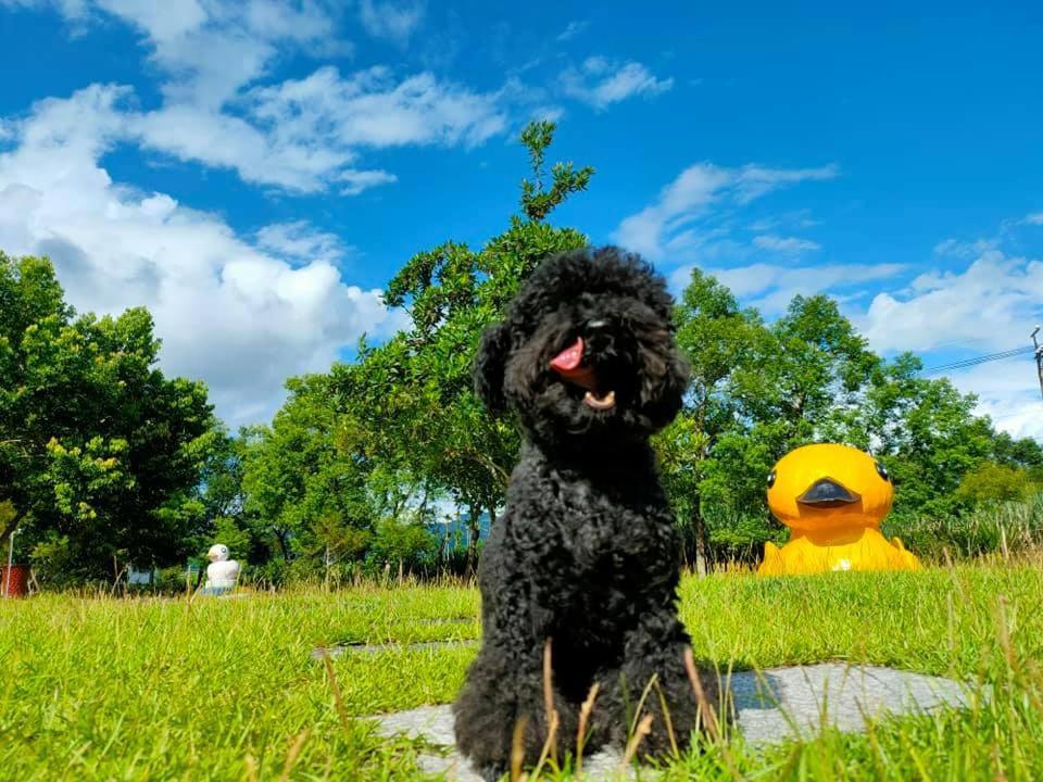 依比鴨鴨水岸會館 Ducking House Bed and Breakfast Ruisui Εξωτερικό φωτογραφία
